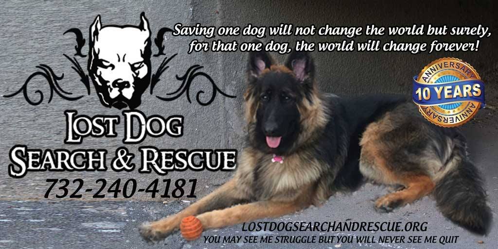 I Lost My Dog Lost Pet Recovery Ocean County i-lost-my-dog-lost-pet-recovery-ocean-county